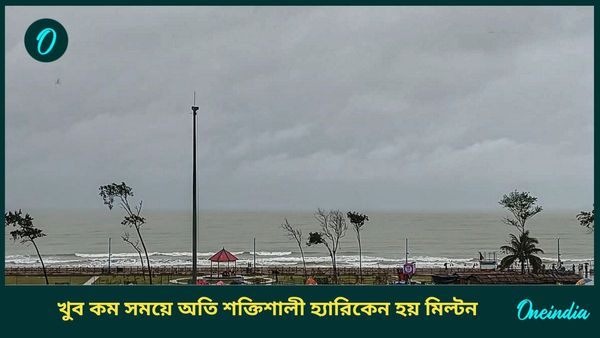 হ্যারিকেন মিল্টনের প্রভাবে সমুদ্রে ২৮ ফুট উঁচু কালো ঢেউ, ভয় ধরাবে সেই ছবি