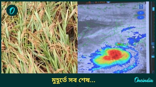 Cyclone Dana: পাকা ধানে মই দিল সাইক্লোন 'দানা'! এবার ভয়ঙ্কর অবস্থার মধ্যে পড়তে হবে যে মানুষকে