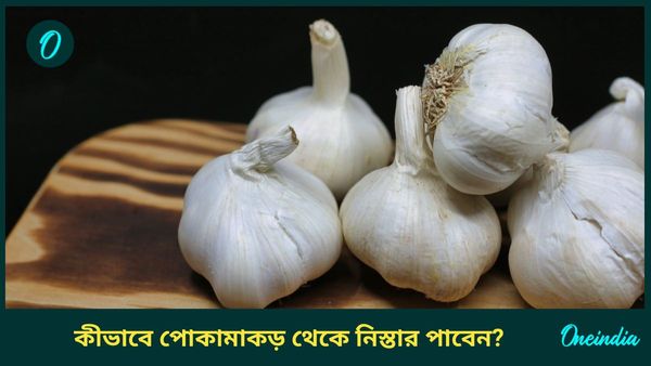 সন্ধ্যা হলেই ঘরে পোকামাকড়ের উৎপাত শুরু, দ্রুত নিস্তার পেতে ঘরোয়া এই উপায়ে ভরসা রাখুন