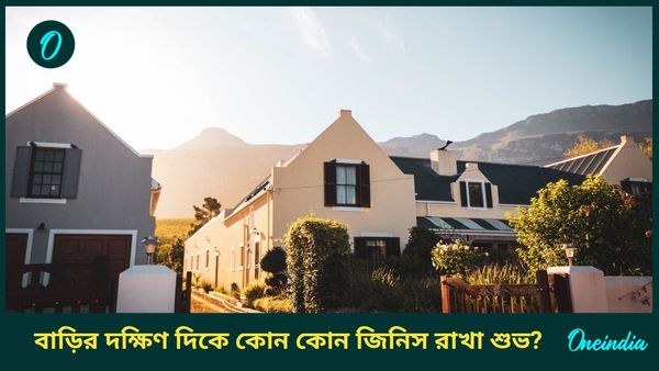 ধন সম্পদ বাড়াতে দীপাবলির আগেই বাড়ির দক্ষিণ দিকে এই জিনিসগুলি রাখুন