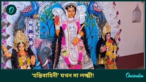 Laxmi Puja 2024: পেঁচা নয়, বাংলার এই গ্রামে হাতির পিঠে চেপে আসেন মা লক্ষ্মী! রইল সেই ভিডিও