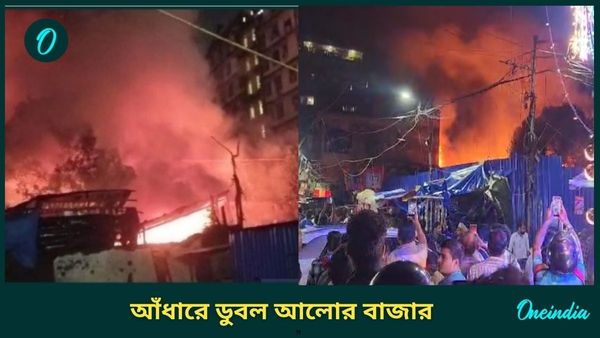 Fire at Kolkata: দীপাবলির আগেই 'অন্ধকারে' ডুবল আলোর বাজার! সব শেষ...কান্নায় ভেঙে পড়লেন ব্যবসায়ীরা