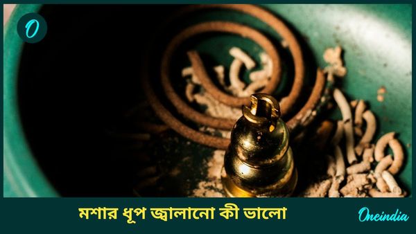 মশার উপদ্রব এড়াতে ব্যবহার করছেন ‘কয়েল’, শরীরের ওপর কী কী প্রভাব পড়ে, জানুন
