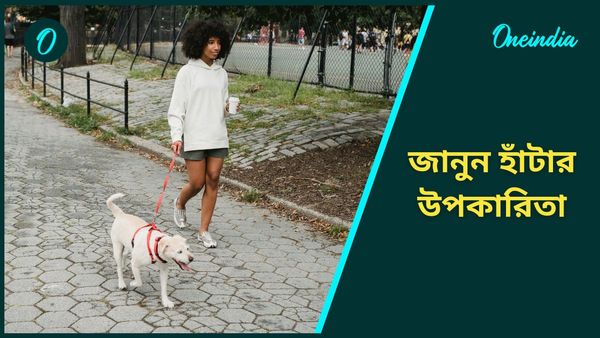 নিত্যদিন হাঁটলে দূরে থাকবে হার্টের রোগ, বাড়বে হজম ক্ষমতাও, আর কী উপকার পাওয়া যায়, জানুন 