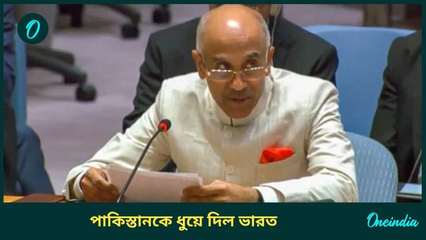 India Slams Pakistan: শান্তি-বৈঠকেও কাশ্মীর টানার চেষ্টা পাকিস্তানের! নাম উচ্চারণ না করেই ধুয়ে দিল ভারত