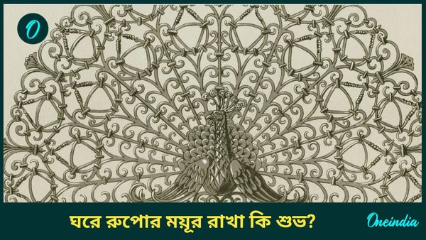 ভাগ্য বদলাতে আজই বাড়িতে আনুন রুপোর ময়ূর, বাড়বে ধন-সম্পত্তি, কাটবে বিয়ের বাধাও