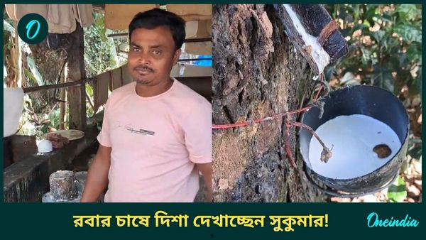 Rubber Farming In West Bengal: বাংলায় হচ্ছে রবার চাষ, স্বনির্ভর হতে স্বপ্ন দেখাচ্ছেন রায়গঞ্জের সুকুমার