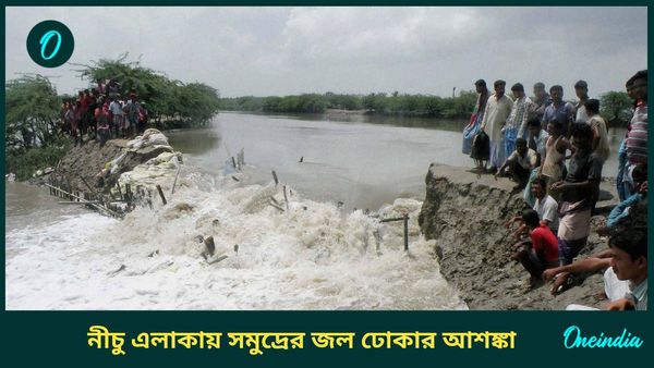 সুন্দরবনে কতটা প্রভাব পড়বে ঘূর্ণিঝড়ের? বাঁধ ভেঙে সমুদ্র ভাসাতে পারে এলাকা