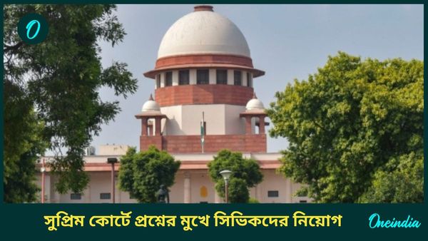 কোন আইনে সিভিক ভলান্টিয়ারদের নিয়োগ? আরজি কর মামলায় সুপ্রিম প্রশ্নের মুখে রাজ্য  