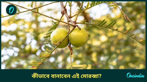 রোগ প্রতিরোধের ক্ষমতা বাড়াতে, মুখের স্বাদ ফেরাতে এই শীতেই বানিয়ে নিন আমলকির মোরব্বা 