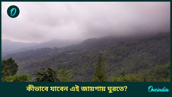 Travel: শীতকালে ঘুরে আসুন দার্জিলিংয়ে, পাহাড়ের রানির মনোমুগ্ধকর শোভা দেখে মুগ্ধ হবেন আপনিও!    