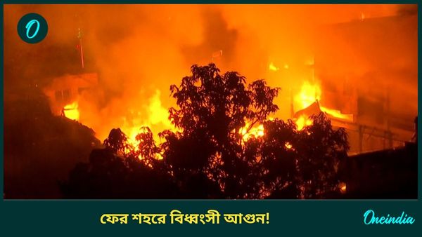 Fire at Kolkata: গঙ্গার ধারে নিমতলায় কাঠের গুদামে বিধ্বংসী আগুন, ঘটনাস্থলে ২০টি ইঞ্জিন