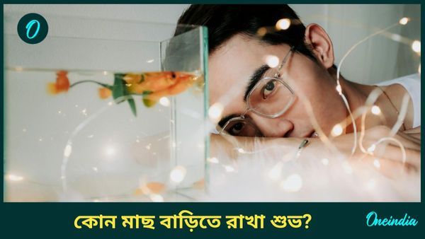 এই মাছ বাড়িতে রাখলেই দূর হবে নেতিবাচক শক্তি, বাড়বে সুখ, সমৃদ্ধিও