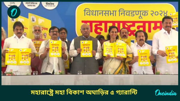 Maharashtra Assembly Election: মহারাষ্ট্রে ক্ষমতায় এলেই জাত-শুমারি করবে ইন্ডি, ইশতেহারে আর কী কী প্রতিশ্রুতি?