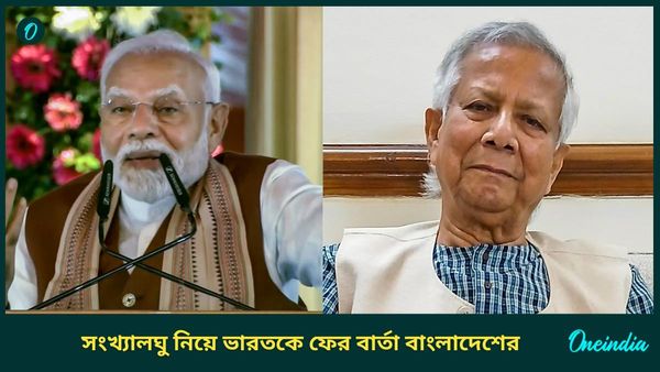 India Bangladesh Relations: সংখ্যালঘু ইস্যুতে নাকি ভারত দ্বিচারিতা করছে! দাবি ইউনূস সরকারের আইন উপদেষ্টার