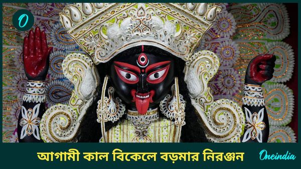 Kali Puja 2024: নৈহাটির বড়মার ১৫ হাজার কেজি ফলপ্রসাদ বিতরণ হাসপাতাল, অনাথ আশ্রমে