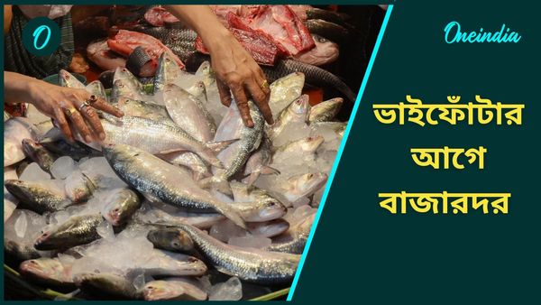 ভাইফোঁটার বাজারদর, কতটা ছ্যাঁকা দিচ্ছে ইলিশ থেকে কাতলার দাম?