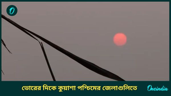 শীত আসতে আর কত দেরি? কেমন থাকছে বাংলার আবহাওয়া!