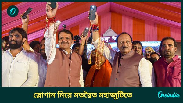 Maharashtra Election: ‘বাটেঙ্গে তো কাটেঙ্গে’ স্লোগানে অজিত-ফড়নবীশ কাজিয়া, ভোটের আগে চরম অস্বস্তিতে মহাজুটি