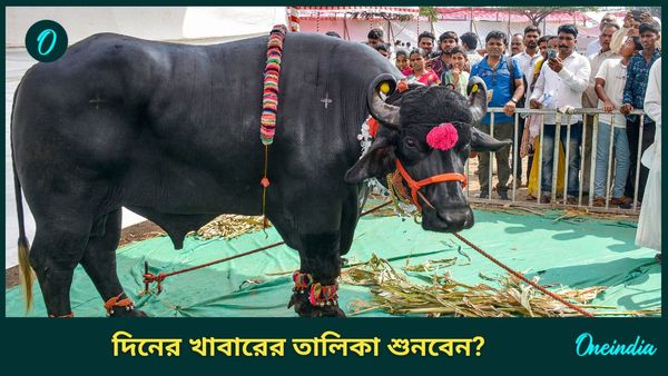 হরিয়ানার দেড় হাজার কেজির মহিষ আনমোল, দাম দুটি রোলস রয়েসের সমান