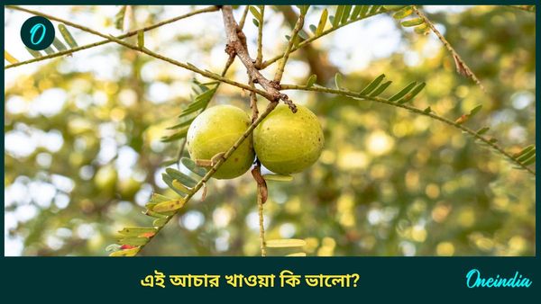শীতাকালে চুটিয়ে খাচ্ছেন আমলকির আচার, ঠিক করছেন তো? স্বাদ বাড়াতে কী করবেন 