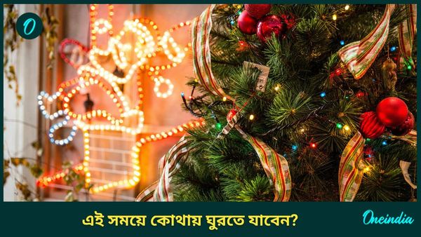 Travel: বড়দিনের ছুটিতে কোথায় যাওয়ার পরিকল্পনা করছেন? লিস্টে কী এই জায়গাগুলো রেখেছেন