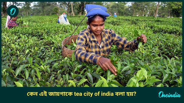 ডিব্রুগড়কে কেন ‘Tea city of India’ বলা হয়? কীভাবে যাবেন, ঘুরতে গেলে এগুলি দেখতে ভুলবেন না 