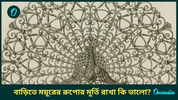 ভাগ্য বদলাতে ও বাস্তুত্রুটি দূর করতে বাড়িতে রাখুন রুপোর এই মূর্তি 