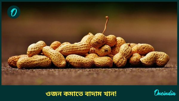 শুধু এই উপায় মেনে নিয়মিত বাদাম খেলেই কমবে ওজন, শরীর থাকবে ফিট 