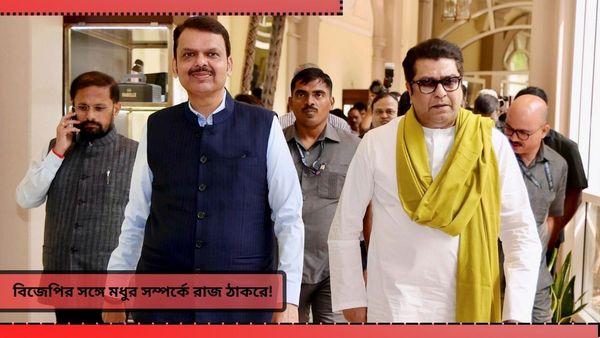 Maharashtra Election 2024: বারবার ইউ টার্ন! রাজ ঠাকরেকে নিয়ে ভোটে সমস্যায় পড়তে হবে না তো বিজেপিকে? জোর জল্পনা