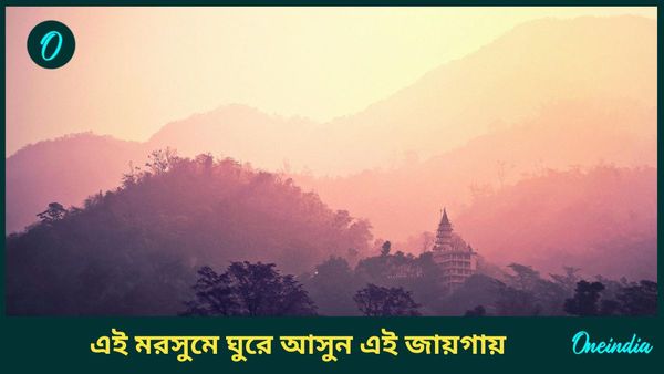 Travel: হালকা শীতে ঘুরতে যেতে চাইছেন? কম বাজেটে আপনিও যেতে পারেন এই জায়গাগুলিতে  