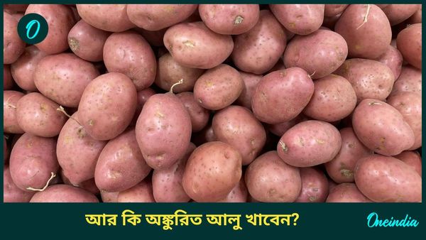 অঙ্কুরিত আলু খাওয়া কি উচিত? জানুন এর উপকারিতা ও পার্শ্ব প্রতিক্রিয়া সম্পর্কে