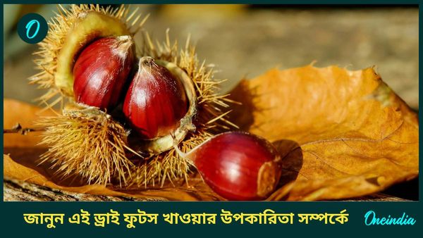 ডায়াবেটিসে ভুগছেন, এই ড্রাই ফুটসকে যমের মতো ভয় পায় সুগার, একবার খেয়ে দেখুন!