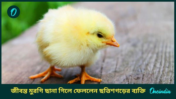 জাদু দেখাতে গিয়ে জীবন্ত মুরগি গিলে নিলেন ব্যক্তি! তারপর যা হল তা শিউরে ওঠার মত...