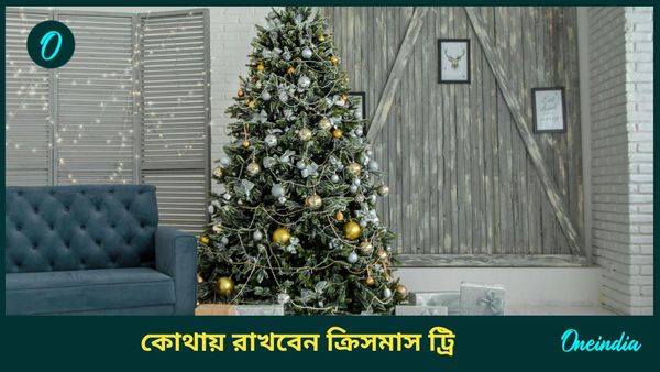 Year Ender 2024: গ্রহ দোষ থেকে মুক্তি পেতে, অর্থলাভের জন্য বাড়ির এদিকে রাখুন ক্রিসমাস ট্রি 