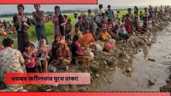 ওরা তো সব ঢুকে পড়ছে, আমরা খাবো কী? ইউনূসের বিরুদ্ধে বাড়ছে ক্ষোভ! ভয়ঙ্কর প্যাঁচে ঢাকা