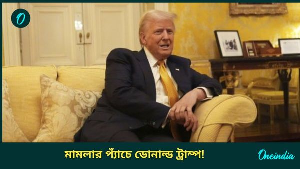 Donald Trump: বড় ধাক্কা ট্রাম্পের! অভিনেত্রীকে যৌন হয়রানির মামলায় নিস্তার পেলেন না ভাবী মার্কিন প্রেসিডেন্ট