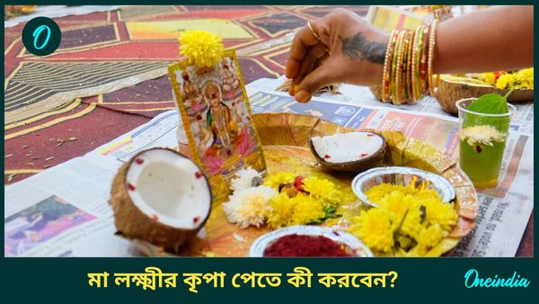 মা লক্ষ্মীর কৃপা পেতে, বাস্তুত্রুটি দূর করতে নববর্ষের আগে করুন এই বিশেষ কাজগুলি 