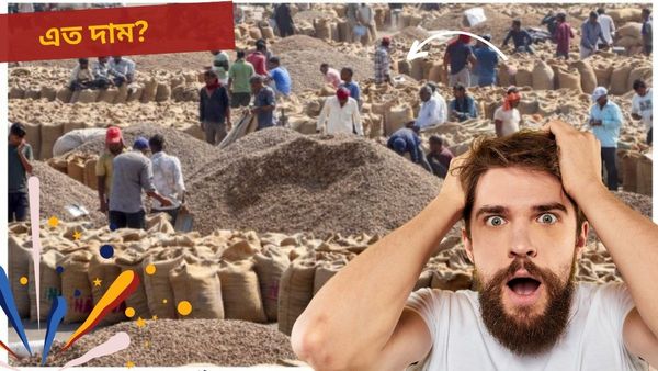 ১০০ টাকা দিয়ে পেঁয়াজ, ১৪০ টাকা দিয়ে ভারতের আদা কিনে খাচ্ছে বাংলাদেশিরা! টমেটোর দাম তো...