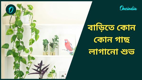 আর্থিক সঙ্কট কাটিয়ে উঠতে নতুন বছরেই বাড়িতে লাগান এই গাছগুলি 