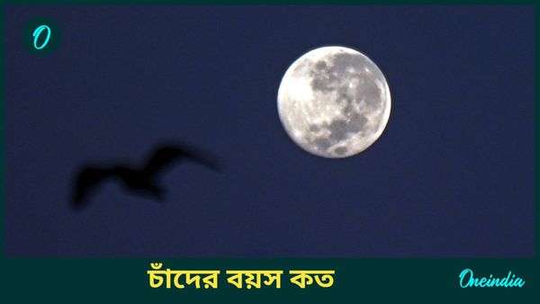 Age of The Moon: অনুমানের তুলনায় আরও ১০ কোটি বছর বেশি বয়স চাঁদের! আসলে কত বুড়ো পৃথিবীর একমাত্র উপগ্রহ?