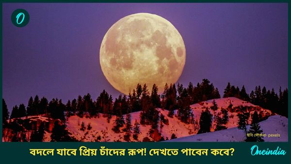 বছর শেষে কোল্ড মুন আর ২০২৫-এ উলফ মুন, বদলে যাবে প্রিয় চাঁদের রূপ! দেখতে পাবেন কবে?