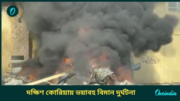 South Korea Plane Crash: ১৮১ জন যাত্রী নিয়ে রানওয়ে টপকে পাঁচিলে ধাক্কা বিমানের, আগুনে ঝলসে মৃত ৮৫; আহত বহু