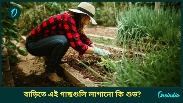 বন্ধ ভাগ্যের দরজা খুলতে আজই বাড়িতে লাগান এই গাছগুলি, কাটবে আর্থিক সঙ্কটও