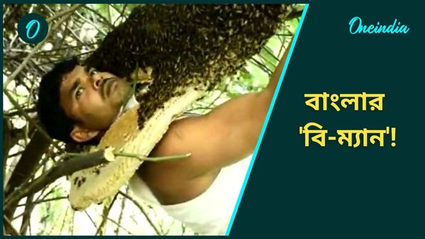 West Bengal: ১৫ বছর ধরে মৌমাছিদের সঙ্গে সংসার! সহ্য করেন ৫০০ মৌমাছির হুল, বাংলার Bee Man-কে চেনেন?