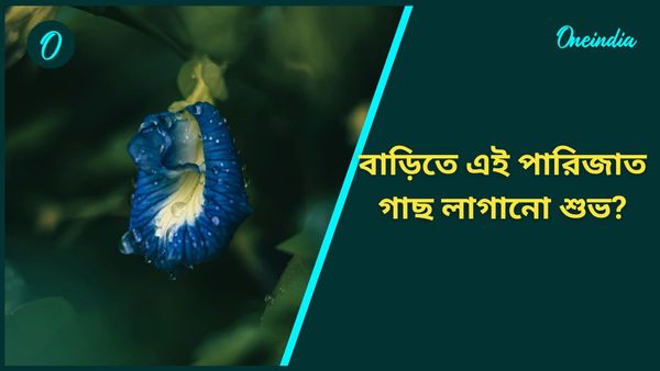 মোটা টাকা উপার্জন করতে চান, তাহলে আজই বাড়িতে লাগান এই ফুলের গাছ 