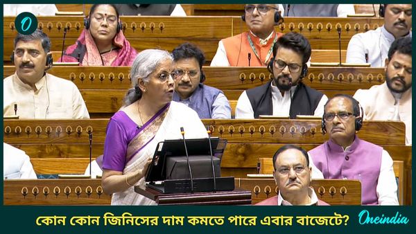 Budget 2025: নির্মলার বাজেটে এবার এই জিনিসের দাম এত কমে যাবে? রইল তালিকা