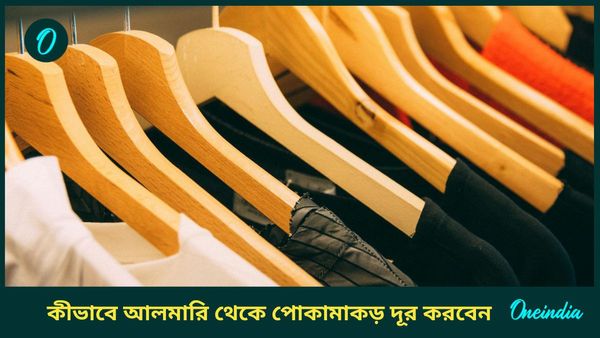 জামাকাপড়, আলমারিতে কি পোকামাকড় ভরে যাচ্ছে, এই ঘরোয়া উপায়তেই দূর হবে উইপোকাও   