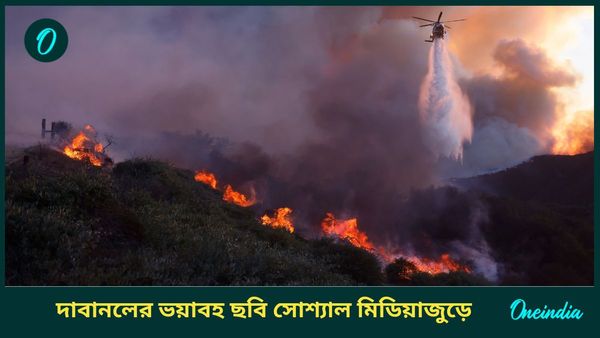 Los Angeles Fire: ঝড়ের গতিতে ছড়াচ্ছে আগুন, ভয়াবহ দাবানলে প্রাণহানি হলিউড নগরীতে; ঘরবাড়ি পুড়ল তারকাদের!