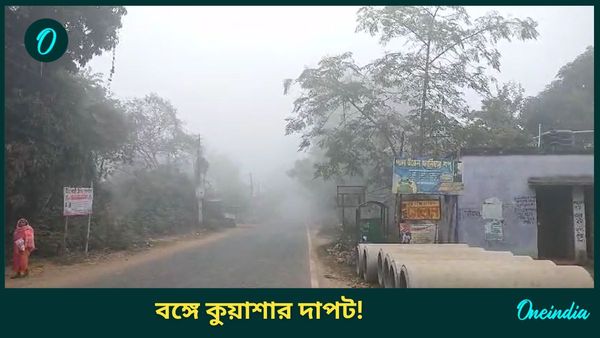 কুয়াশার দাপটে কলকাতা বিমানবন্দর যেন 'বনগাঁ লোকাল', দুর্ঘটনা বেলঘরিয়া এক্সপ্রেসওয়েতে, ভয়ঙ্কর ছবি বাঁকুড়ায়
